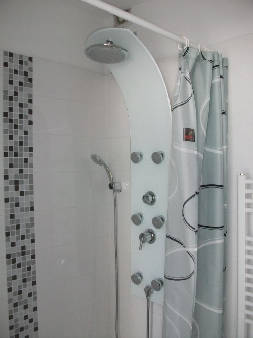 CH - Penthouse Terrassenapartment image 9